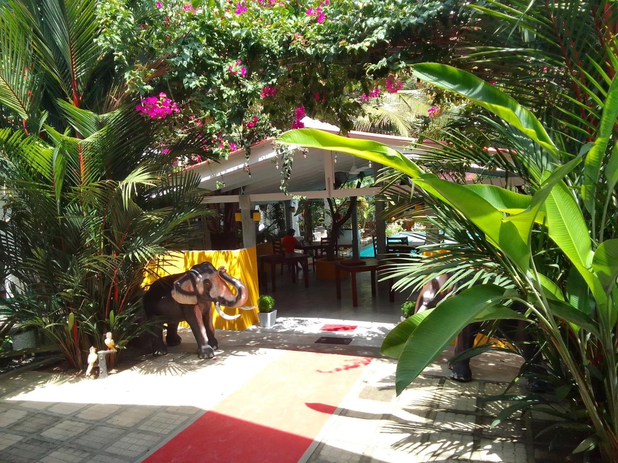 La Perla Bentota Hotell Exteriör bild